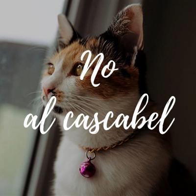 QUITALE EL CASCABEL AL GATO QUITALE EL CASCABEL AL GATO