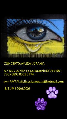 AYUDA UCRANIA AYUDA UCRANIA